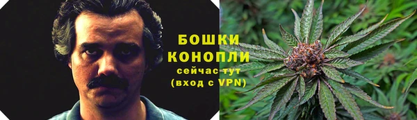 экстази Михайлов