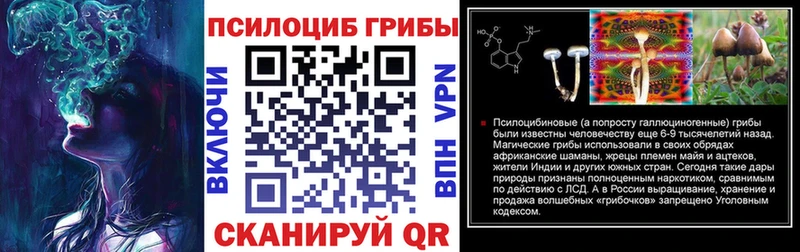закладки  Волжский  Псилоцибиновые грибы Cubensis 