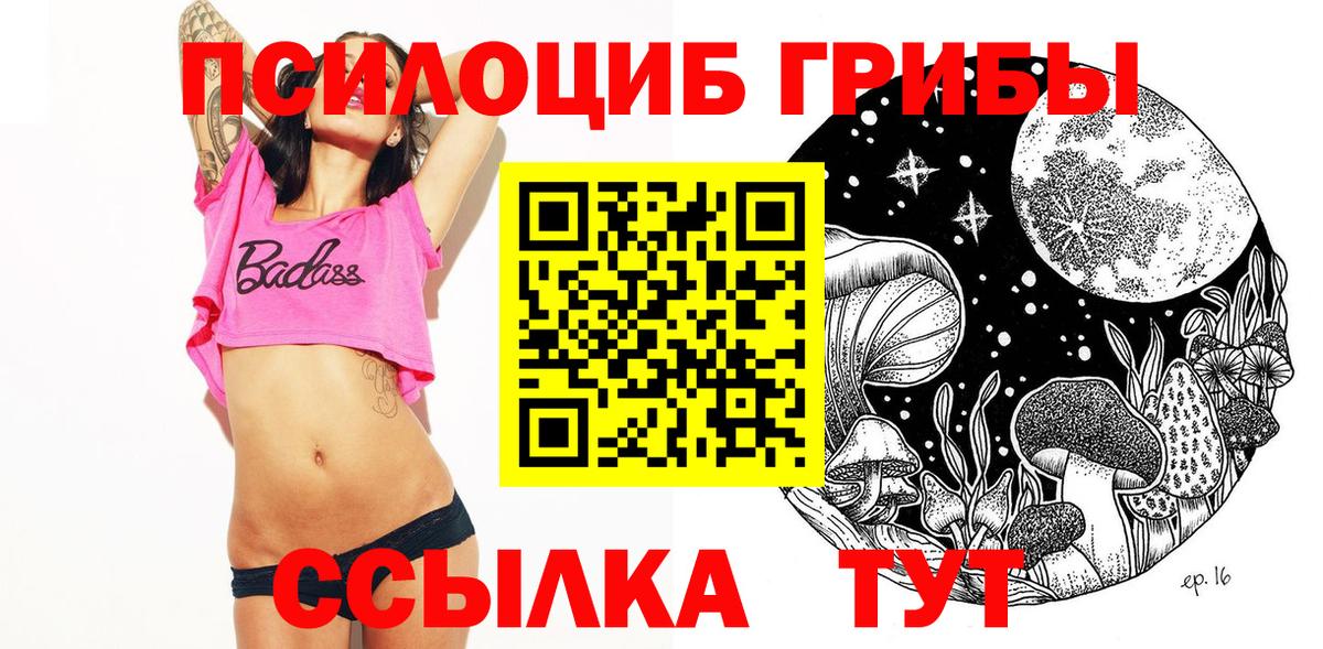 Псилоцибиновые грибы Psilocybine cubensis Волжский